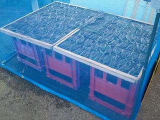 2012-08-26 08.48-1.jpg
