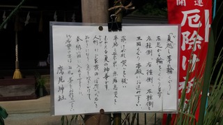20160701_084901.jpg