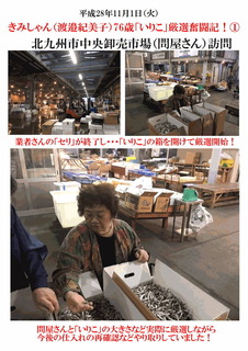 いりこ仕入風景-1.jpg