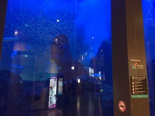 IMG_7935.JPG