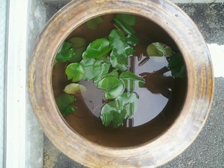 2013-06-29-16-51-28_photo.jpg