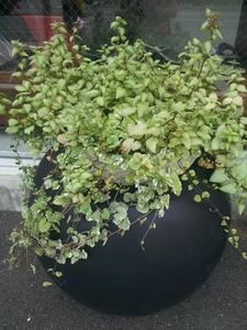 2013-06-29-16-51-44_photo.jpg